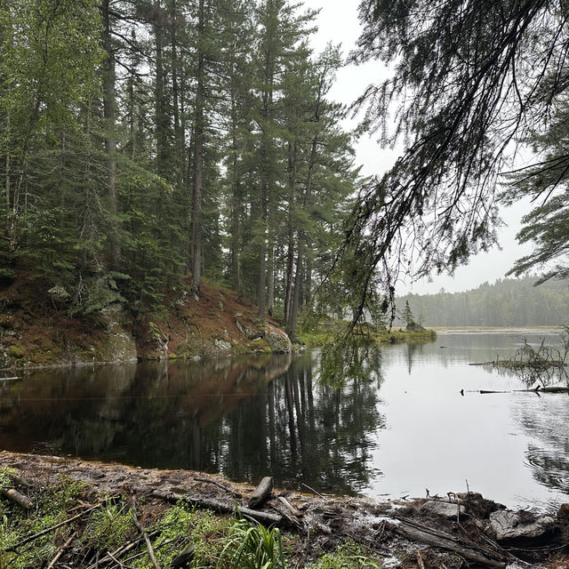 Algonquin park in Ontario, Canada