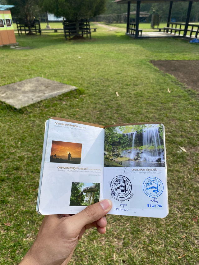 เดินป่าที่ภูกระดึง | จ.เลย 🚶🏻🌿🌳🥾