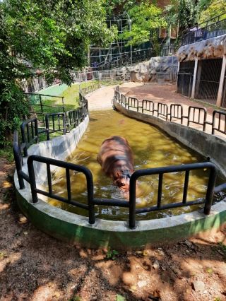 Sri Lanka Colombo Zoo: Get Up Close and Personal with Tropical Animals
