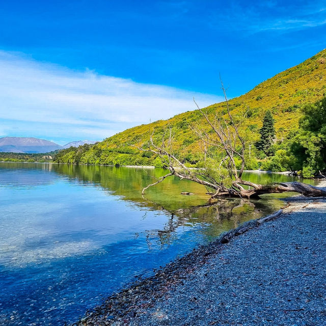 Discovering Glenorchy's Natural Splendor