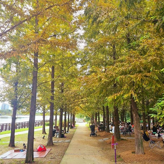 가을로 물드는 동탄호수공원