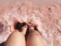 Pink Beach อุทยานแห่งชาติหมู่เกาะ Komodo