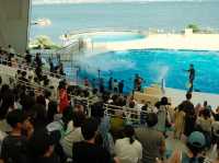 マリンワールド海の中道🐬💙🦦🐟