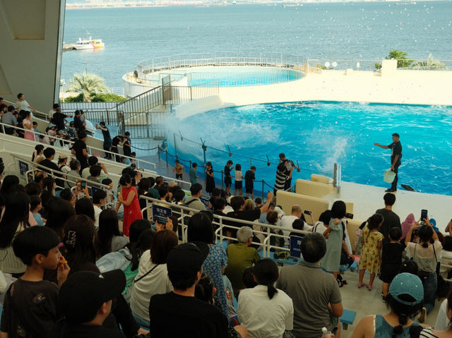 マリンワールド海の中道🐬💙🦦🐟