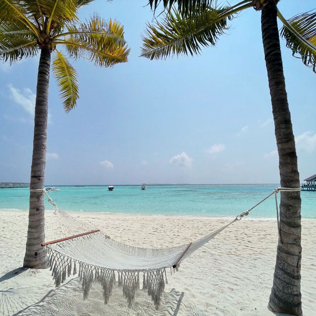 Head to the Maldives for an awesome beach experience