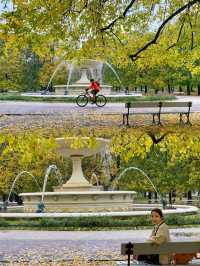 Golden Autumn Serenity: An Unplanned Stroll Through Warsaw's Saxon Gardens