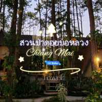 สวนป่าดอยบ่อหลวง 🌿