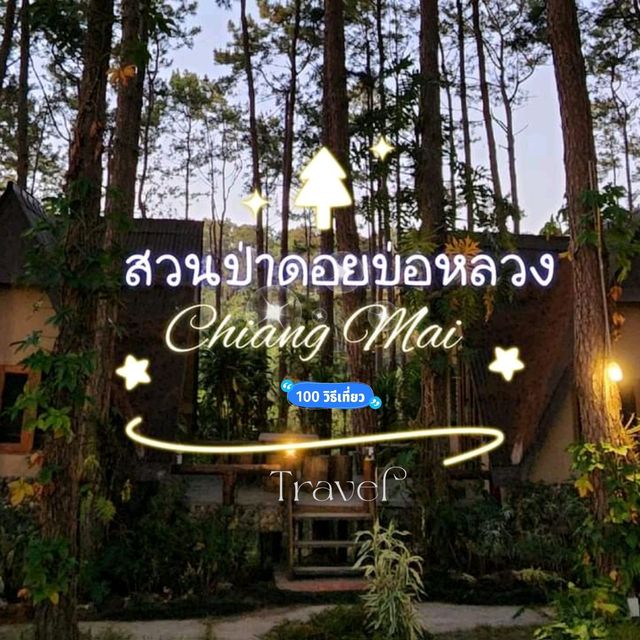 สวนป่าดอยบ่อหลวง 🌿