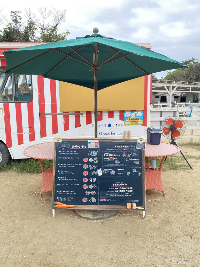 【淡路島】アルパカのラアル君にチューはしてもらえませんでした