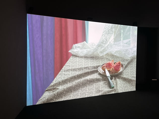아시아 여성 미술가들이 생각하는 신체성이란, 서울 전시