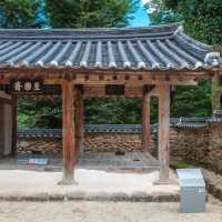 치유의 에너지를 경험할 수 있는