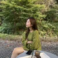대전근교, 숲과 함께하는 카페
