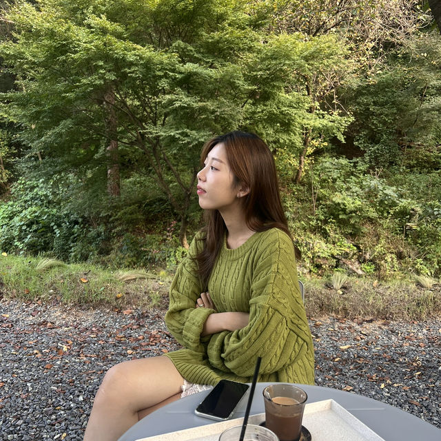대전근교, 숲과 함께하는 카페