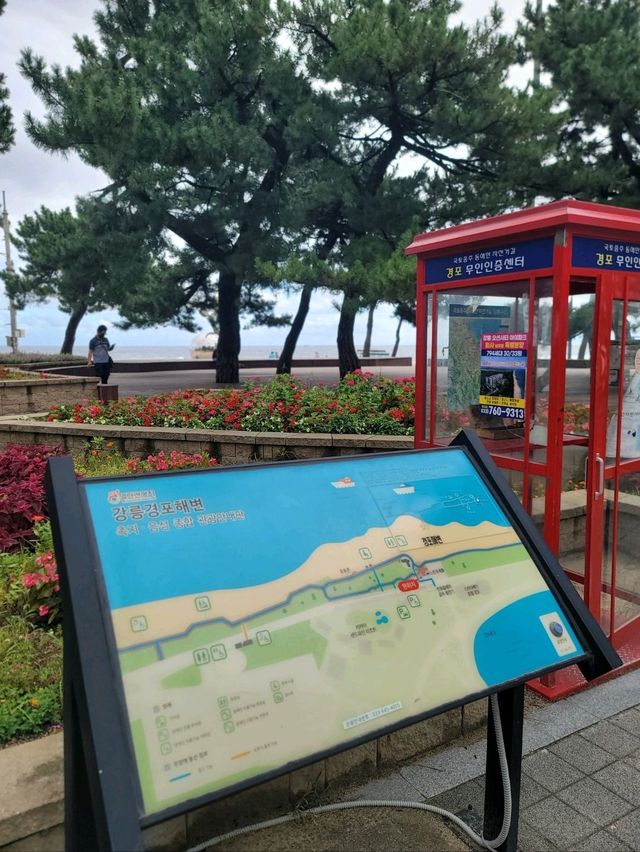 여러번와도 꼭 가야할 강릉여행 필수코스🩵