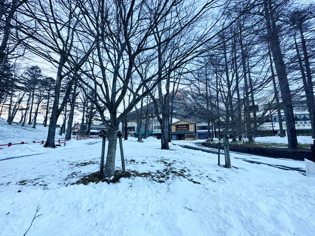 冰雪覆蓋下的日光市景與華嚴瀑布的藍冰之美