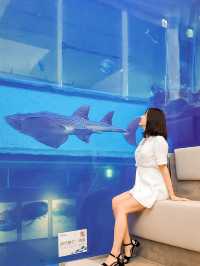 📍 潮境智能海洋館 iOCEAN