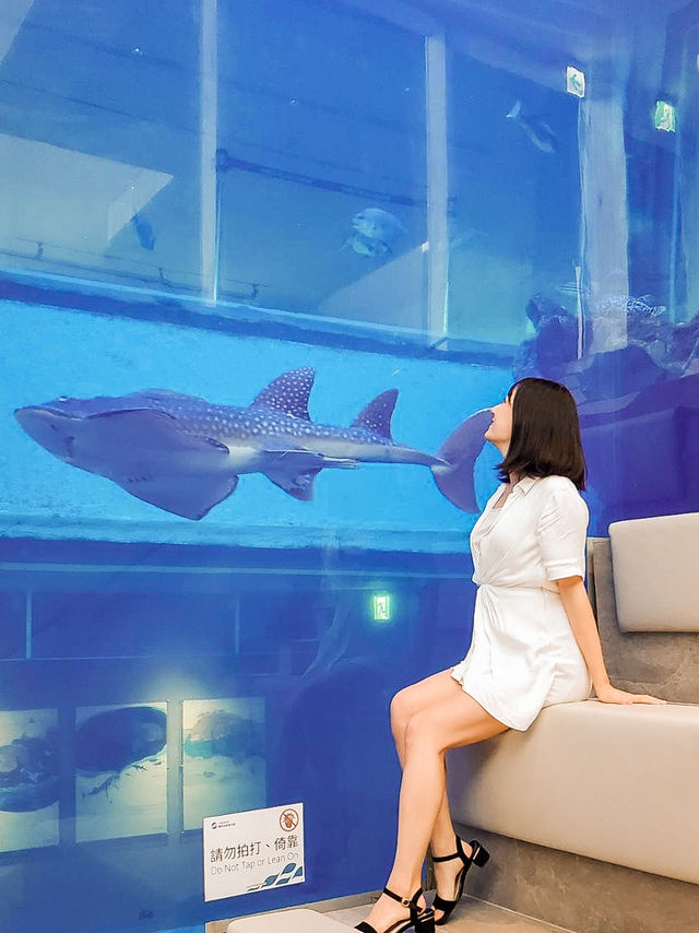 📍 潮境智能海洋館 iOCEAN