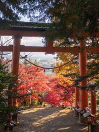 【山梨県】新倉山浅間公園