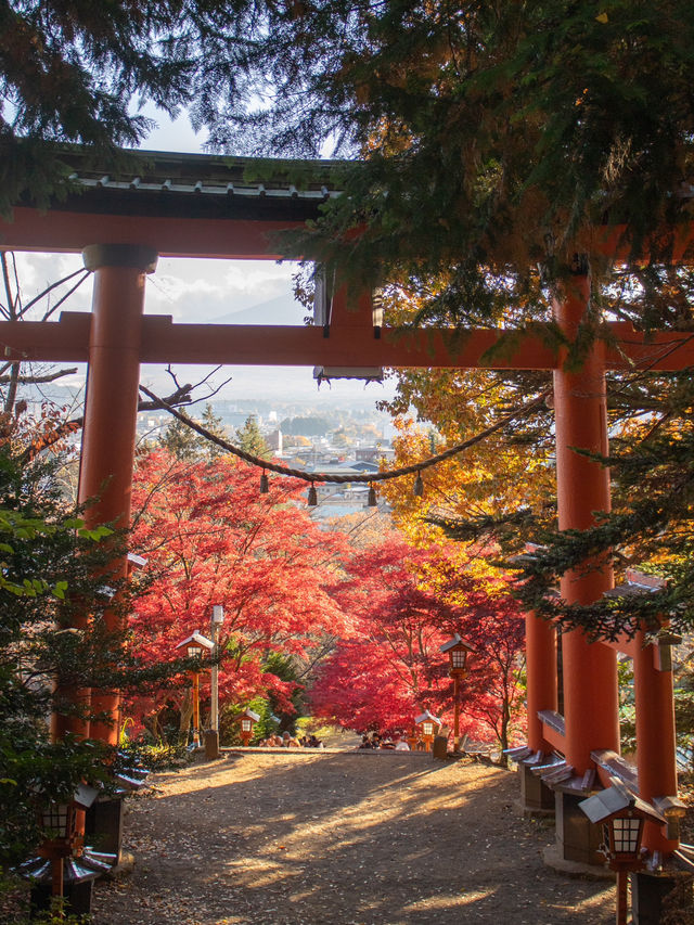 【山梨県】新倉山浅間公園