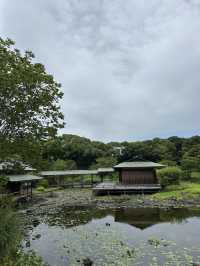 名古屋日本特色的庭園 「白鳥庭園」