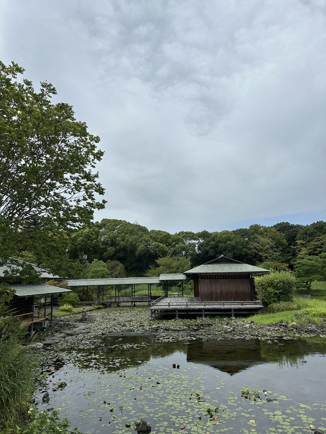 名古屋日本特色的庭園 「白鳥庭園」