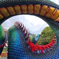 วัดถ้ำแจง🐉พญานาคใหญ่ที่สุดของไทย