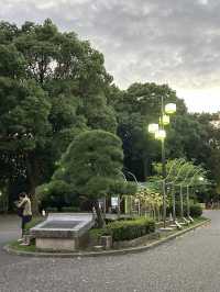 도쿄 요요기 공원에서 산책하기🌳💚