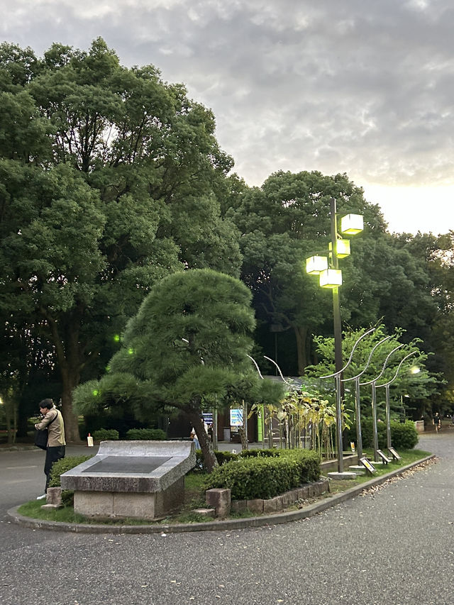 도쿄 요요기 공원에서 산책하기🌳💚
