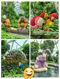 Canopy Park at Jewel Changi 