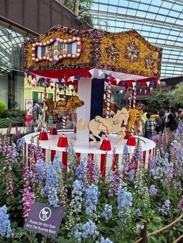 Australian Carnival of Flowers at Flower Dome