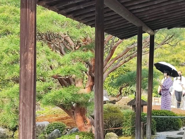 【京都】伏見しだれ梅と落ち椿の城南宮