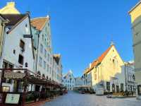 A glimpse into Tallinn’s rich history while embracing its innovative, contemporary culture🇱🇹👫