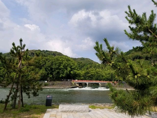 【宇治】なぜ人は旅に出るのか？？平等院鳳凰堂編