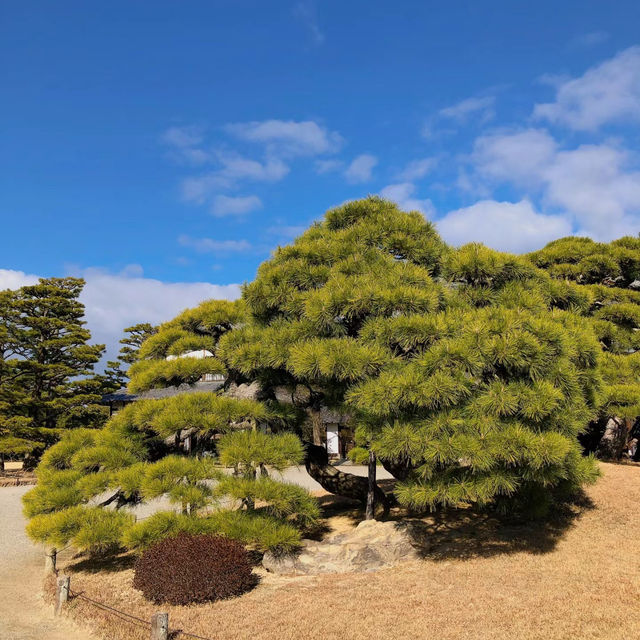 旭山三浦庭園：小橋流水中的日式幽靜 🌸🏞️