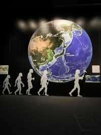 【歴史民俗博物館】古代から現代までを体系立てて見学できます