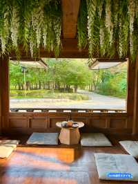 【韓国 ソウル】公園の中にある絶景の韓屋カフェ🌳