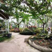 สถานีเกษตรหลวงอินทนนท์ สวนพรรณพืชดอกไม้สวยๆ