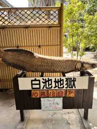 日本獨旅18天Day3別府地獄溫泉巡禮