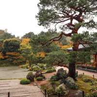 เกียวโตในวันที่คิดถึง.. Tenryuji Temple