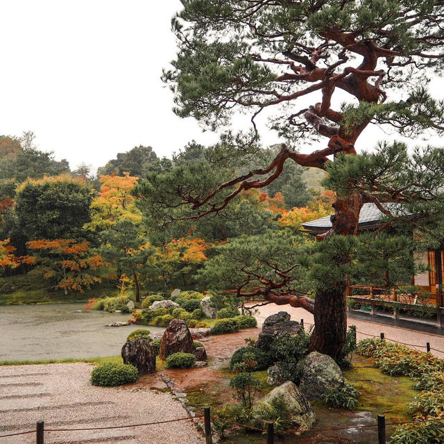 เกียวโตในวันที่คิดถึง.. Tenryuji Temple