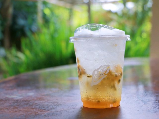 ทานข้าวโพดหวานที่ Cornily Corn farm