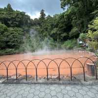 別府地獄温泉巡り。