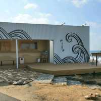 糸島 海裡的白色鳥居