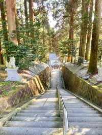 【熊本】⛩️ 日本三大下り宮のひとつ、阿蘇随一のパワースポット ⛩️ 