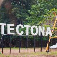 TACTONA CAFE