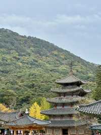 💛 가을을 만끽할 수 있는 🍁 충북 보은군 아름다운 가을 사찰 나들이 명소 🧡