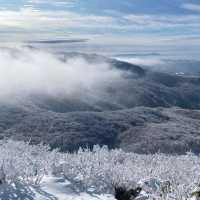 玩雪也可以選日本東北藏王