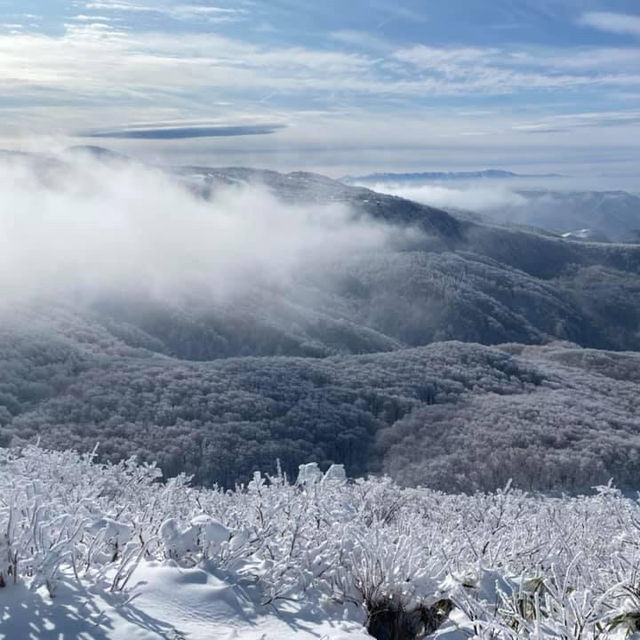 玩雪也可以選日本東北藏王