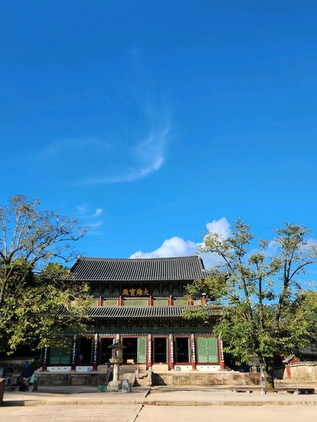 💛산책과 함께 가을여행하기 좋은, "충북 보은 법주사"💛