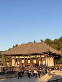 日本獨旅18天Day11 奈良
